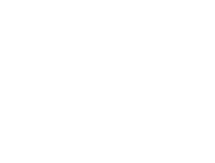 Logo Walve